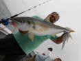 /album/galeria-de-fotos/a3-dscn0035-jpg/